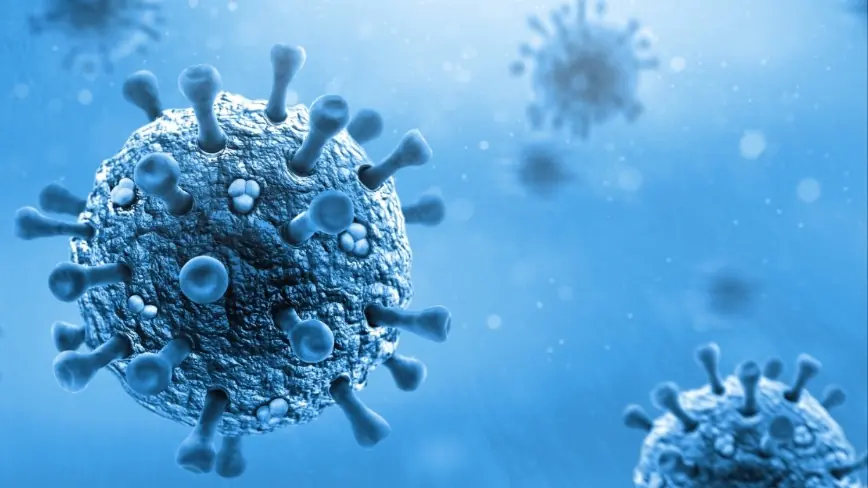 Việt Nam có nguy cơ cao xâm nhập virus bại liệt